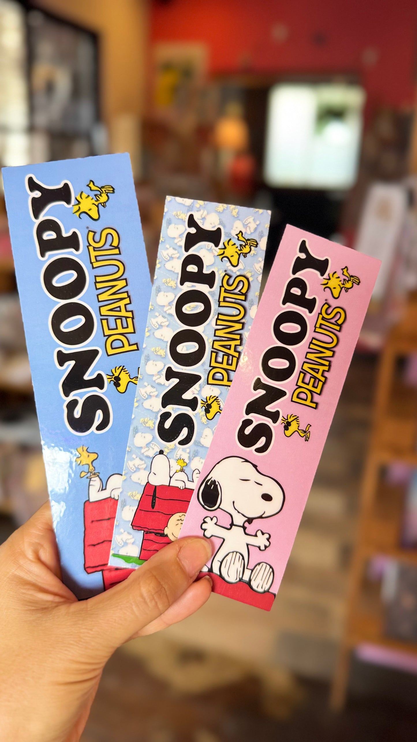 Box Snoopy