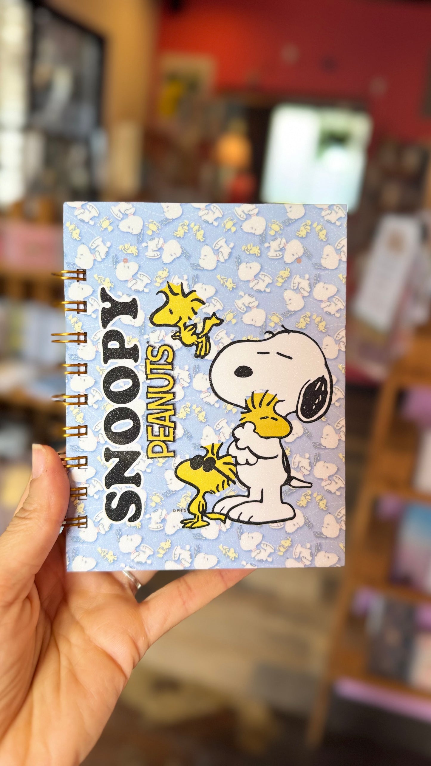 Box Snoopy