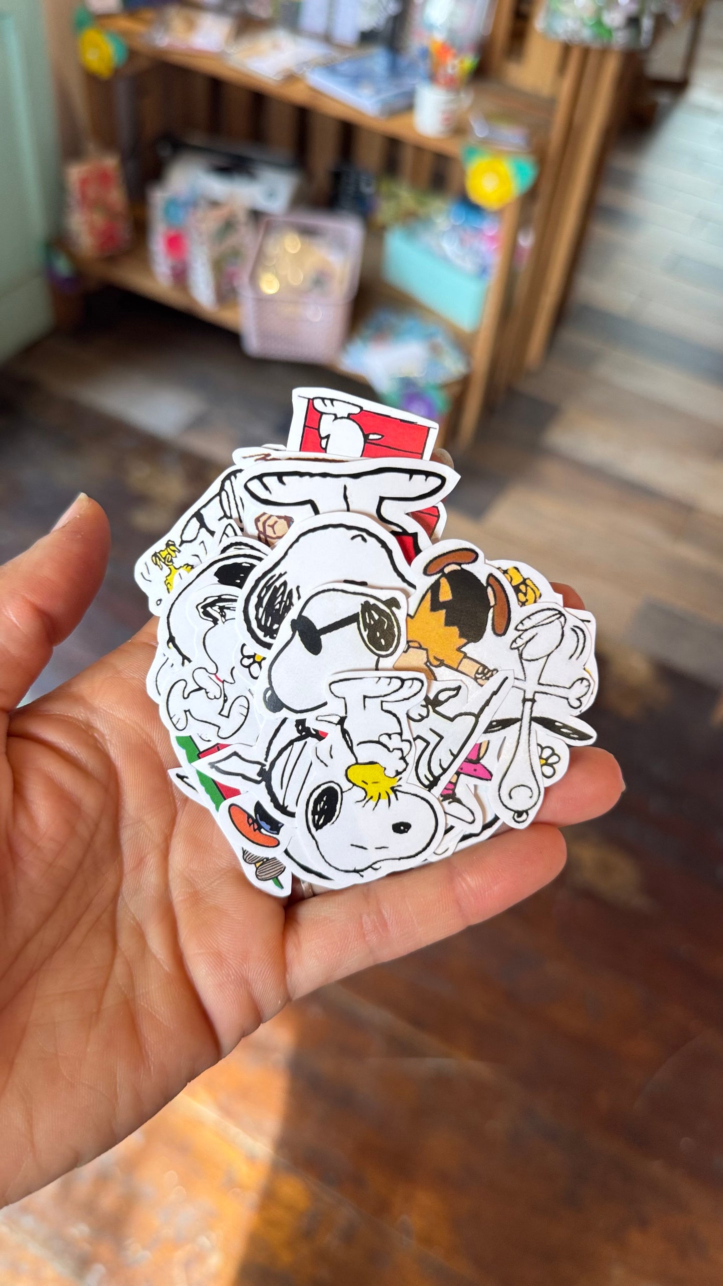 Box Snoopy