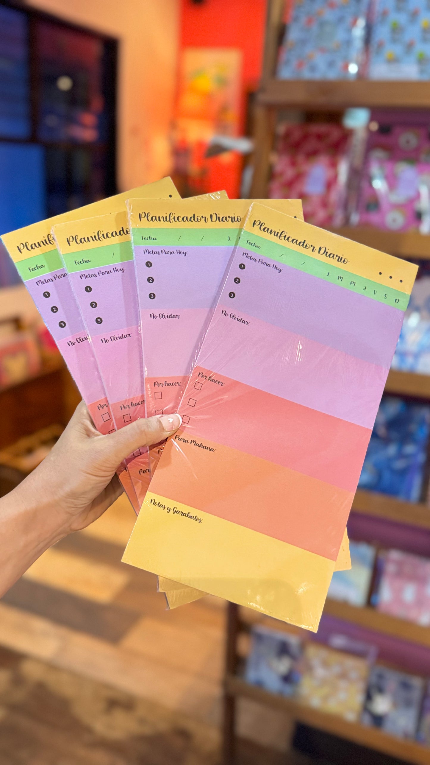 Planner Diario (copia)