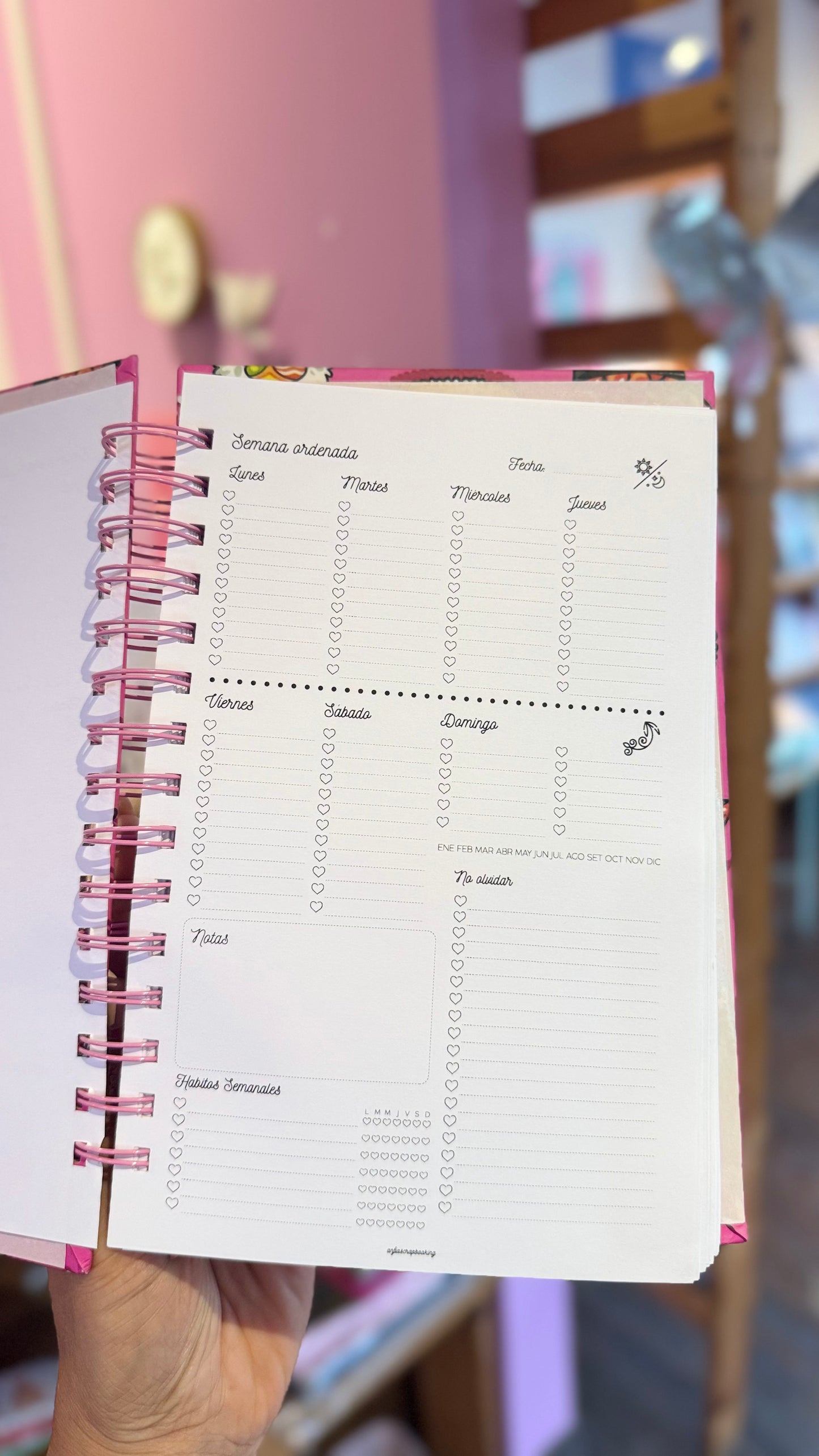 Planner Libreta Sushi