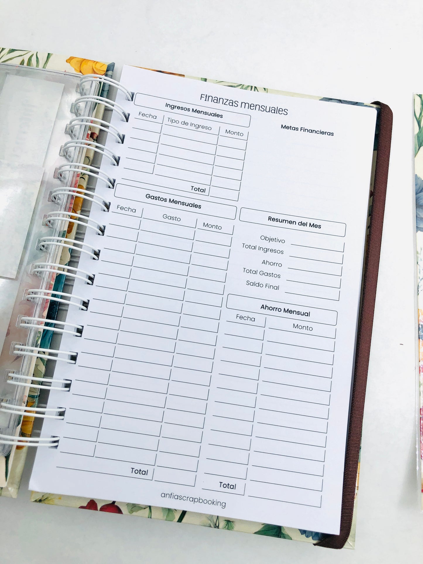 Organizador de Gastos