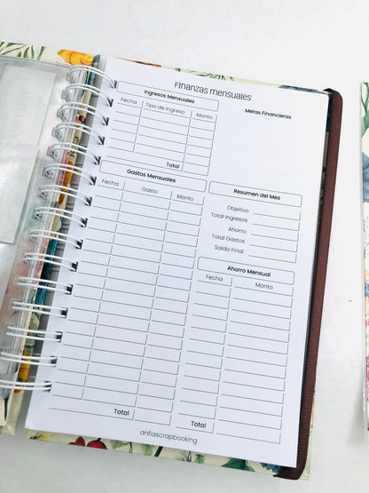 Organizador de Gastos